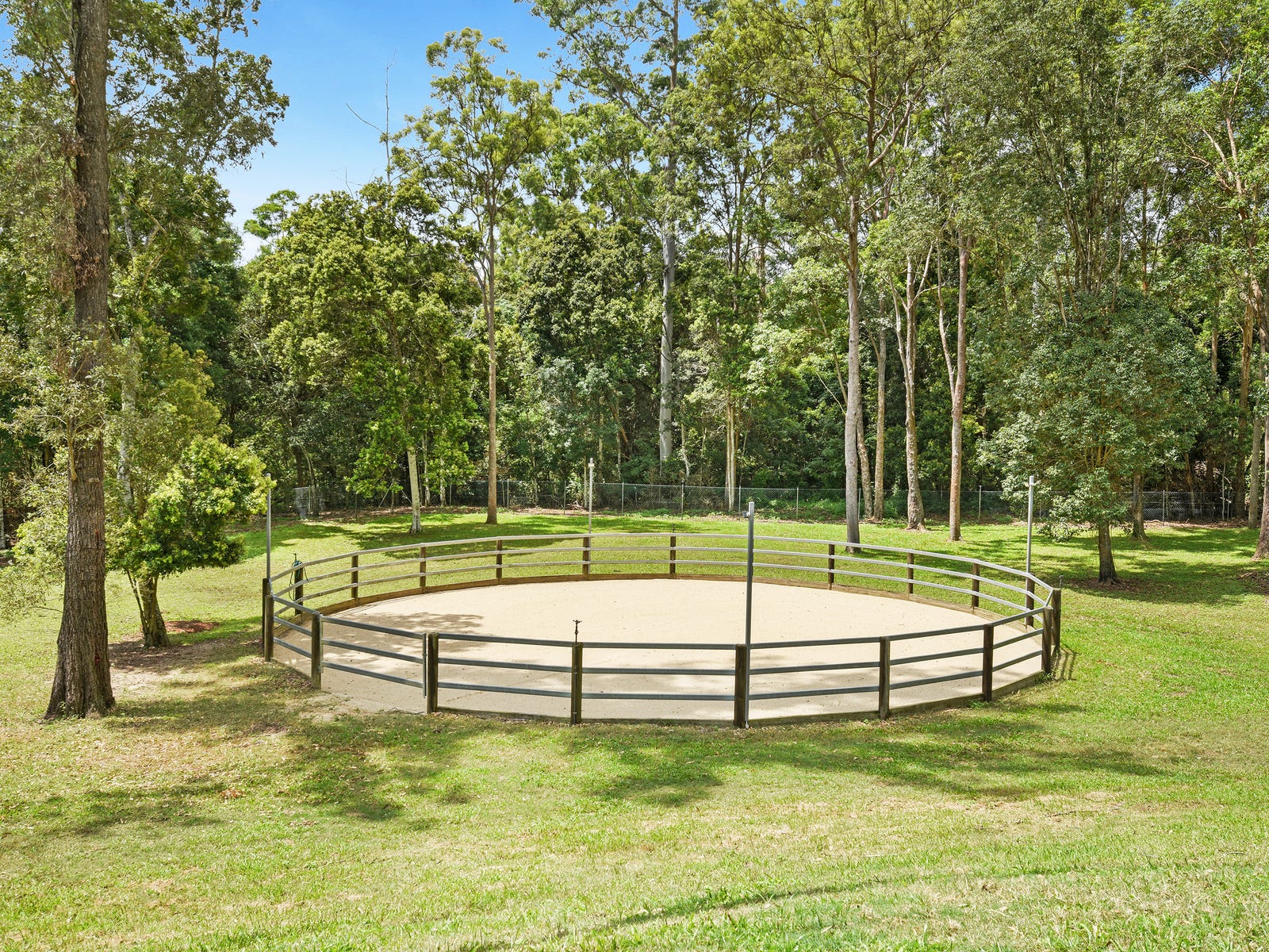 Horse Property For Sale Willow Vale Qld 4209 39 Fern Tree Gully Drive