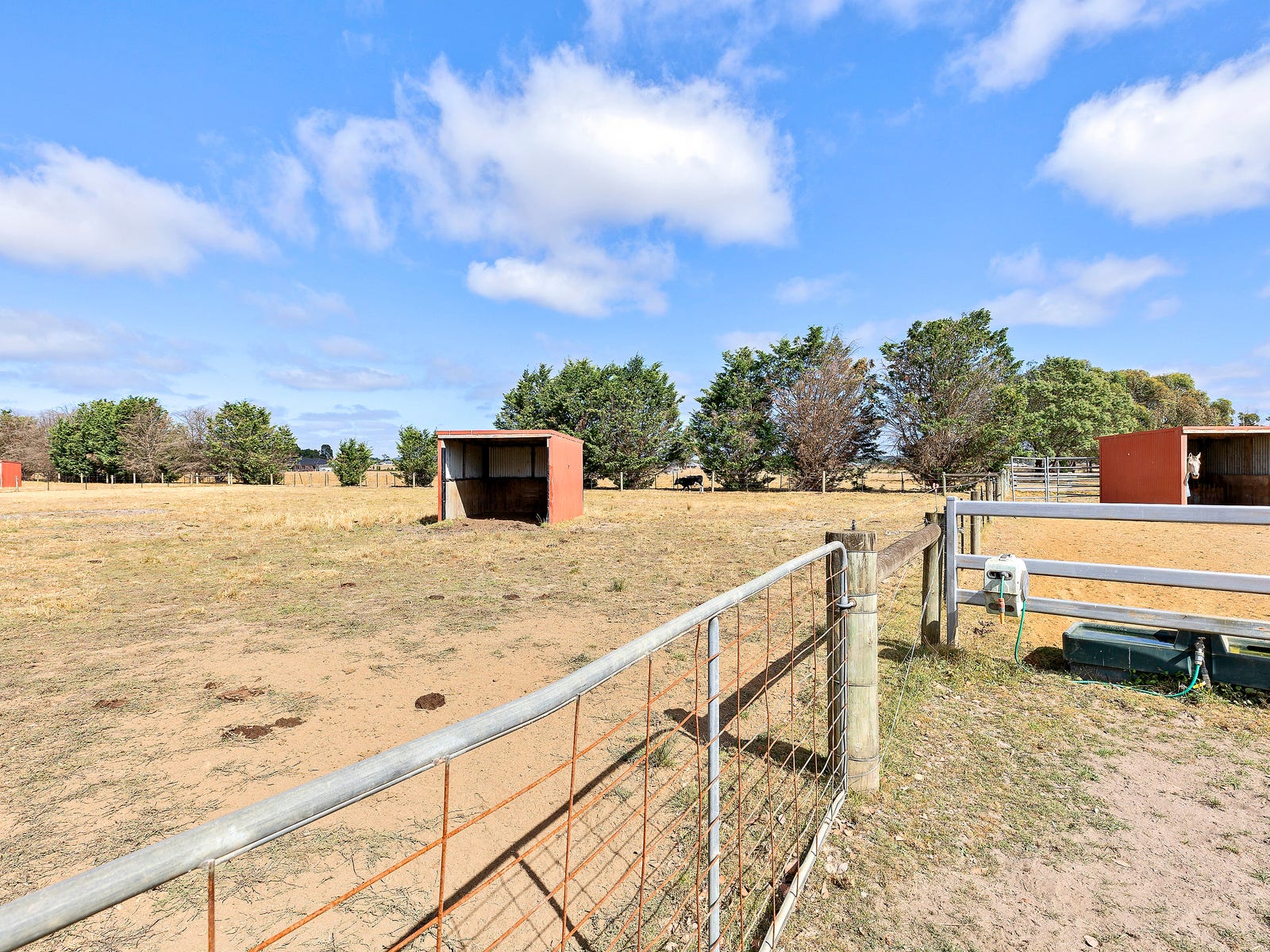 Horse Property For Sale Ross Creek Vic 3351 32 Haleys Road