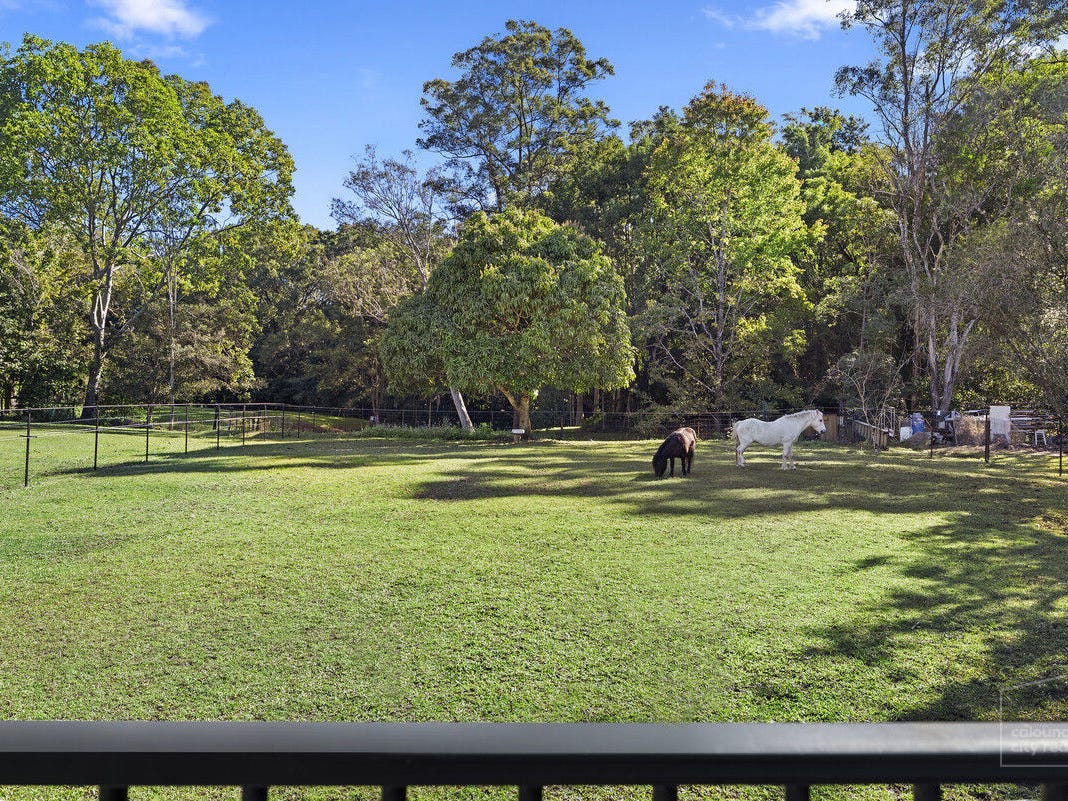 Horse Property For Sale Mooloolah Valley Qld 4553 12 Forsyth Place