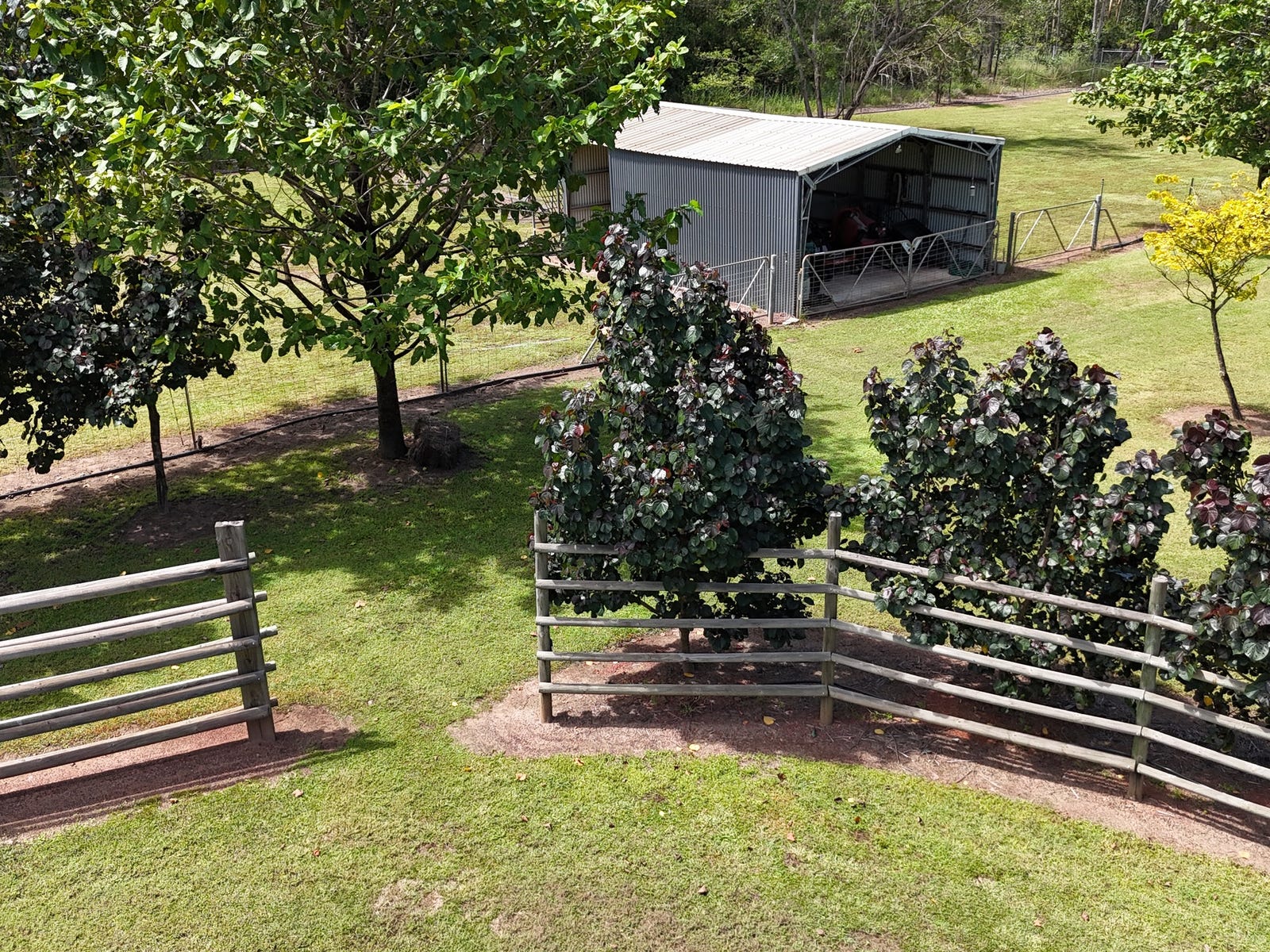 Horse Property For Sale in Humpty Doo, NT 0836