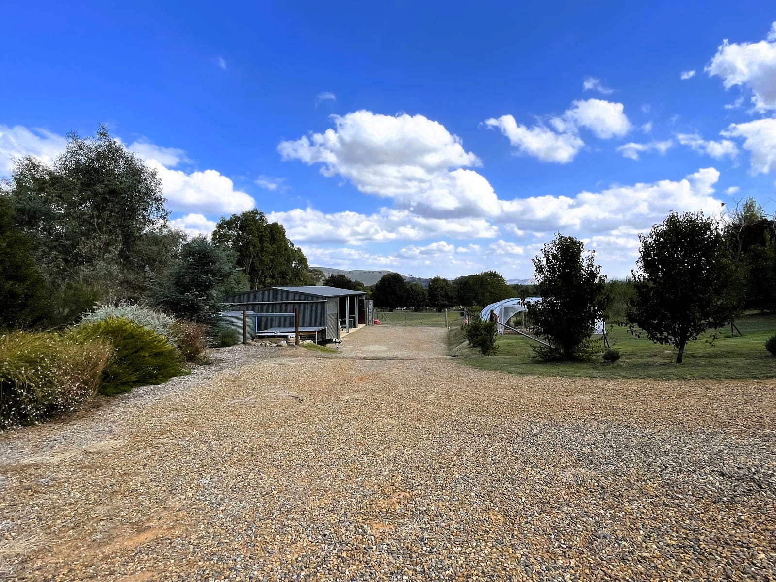 Horse Property For Sale Gundagai NSW 2722 88 Eagle Street