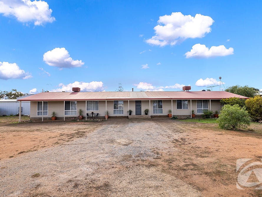 Horse Property For Sale Pinkerton Plains SA 5400 514 Coleman Road