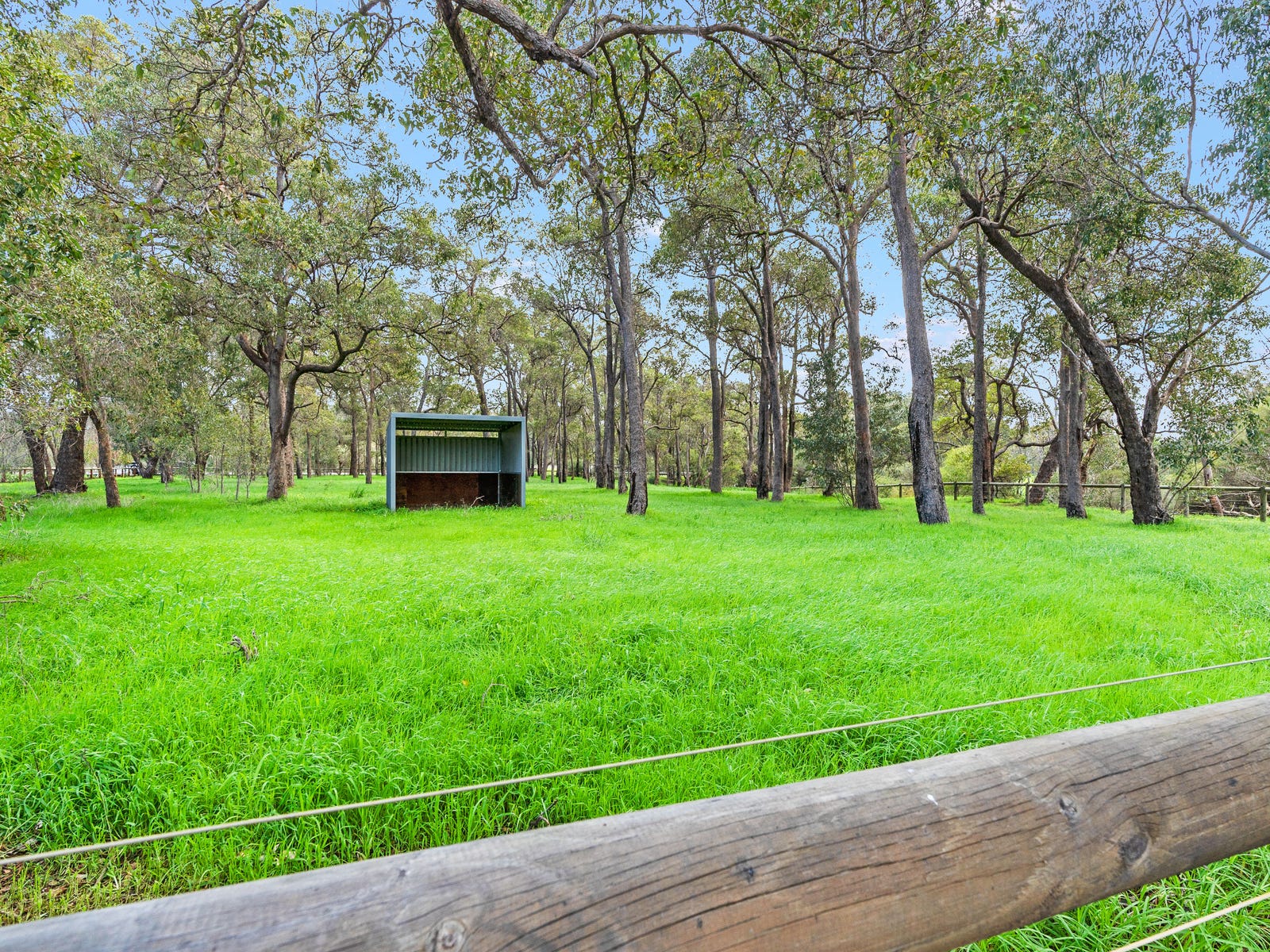 Horse Property For Sale Serpentine WA 6125 160 Richardson Street