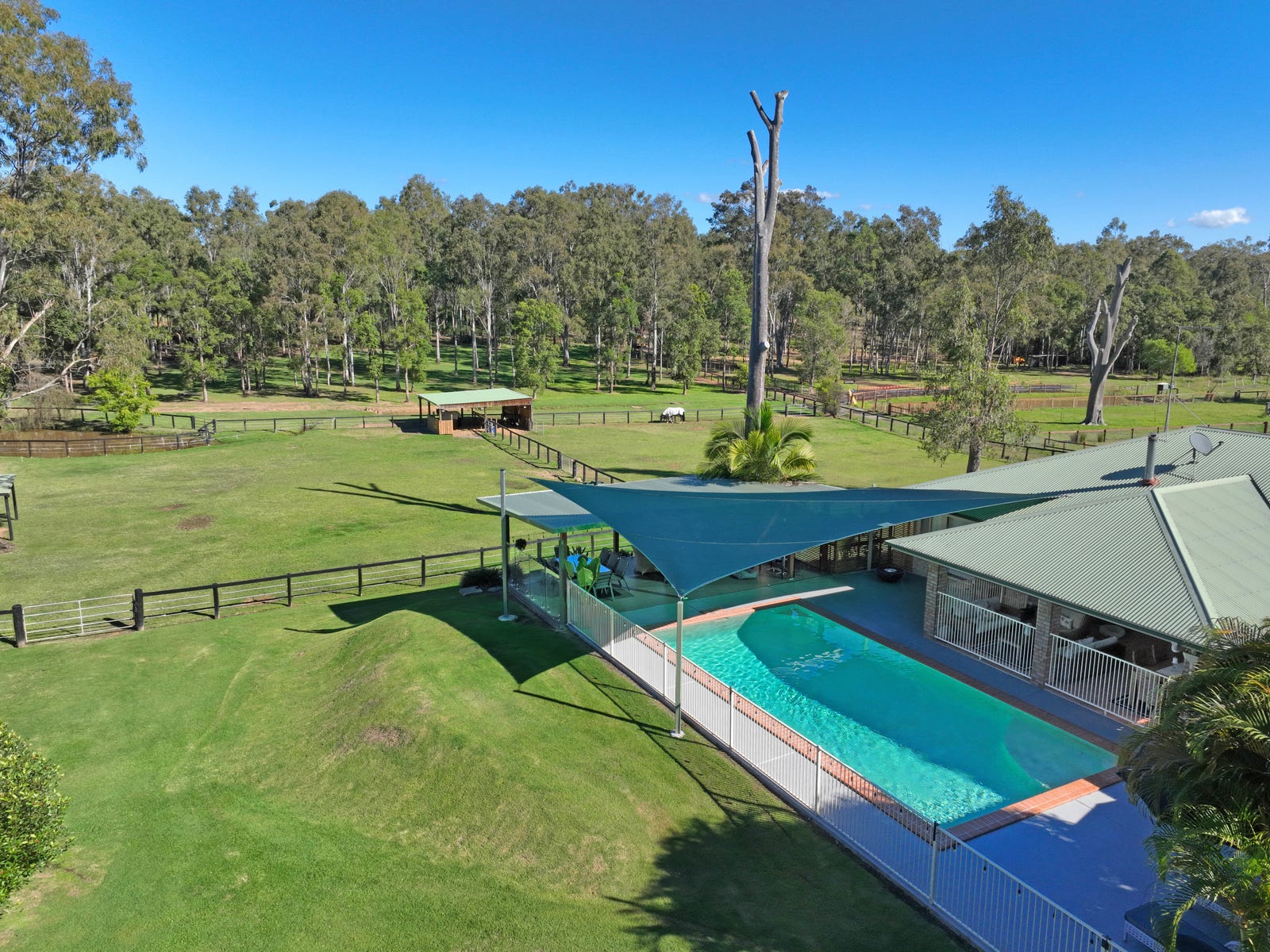 Horse Property For Sale Tamborine Qld 4270 97105 Palomino Road