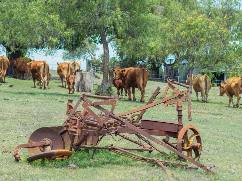 Horse Property For Sale Upper Freestone Qld 4370 246 Mcmasters Road
