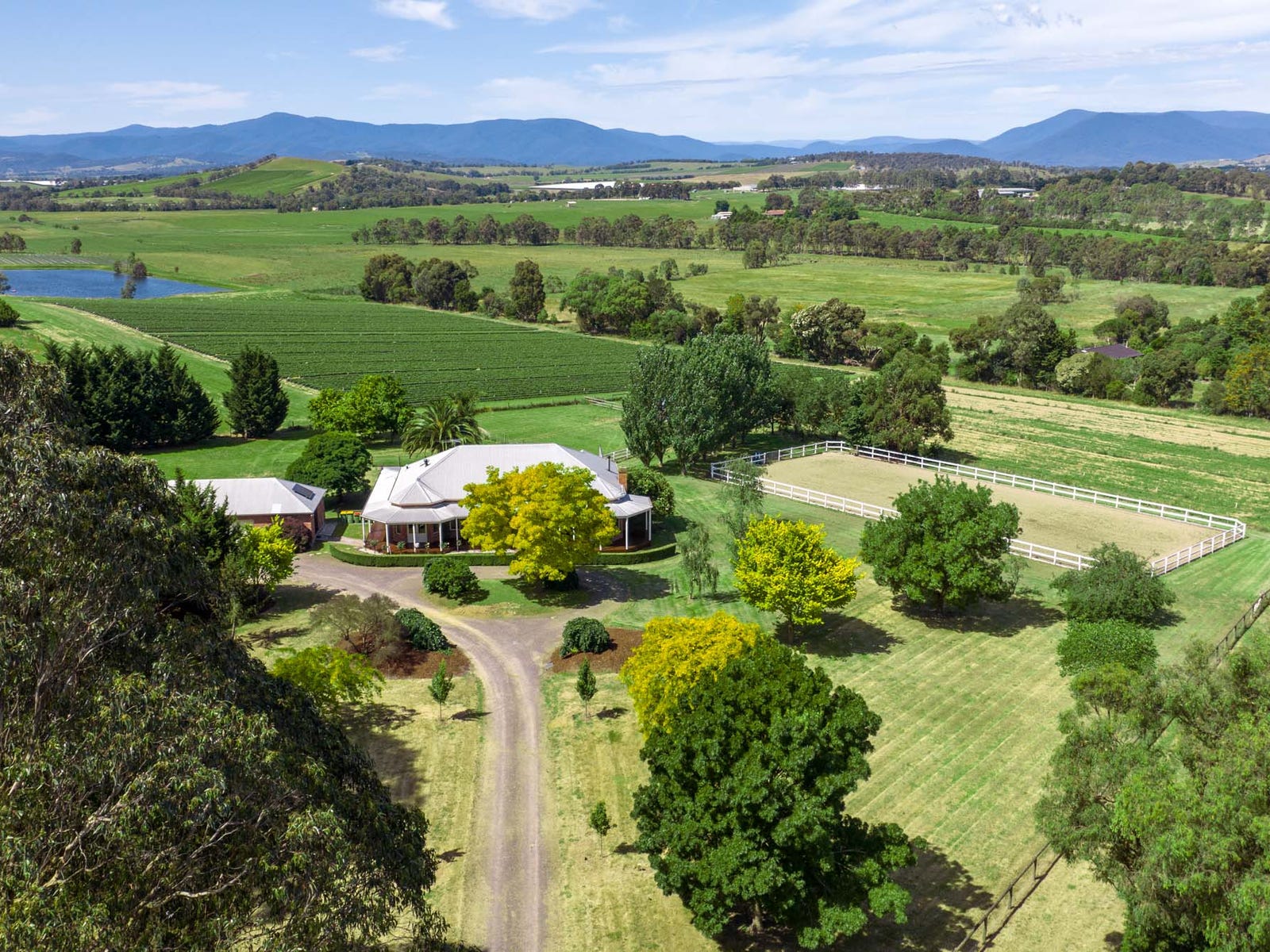 Horse Property For Sale Coldstream Vic 3770 43 Killara Road