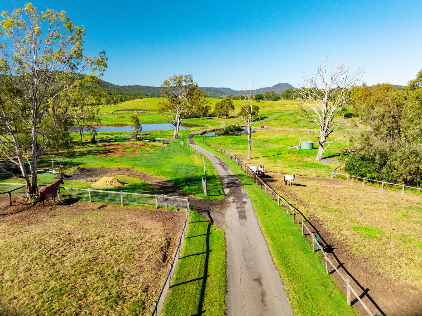 Horse Property For Sale Biddaddaba Qld 4275 | 3483 Beaudesert Nerang Road