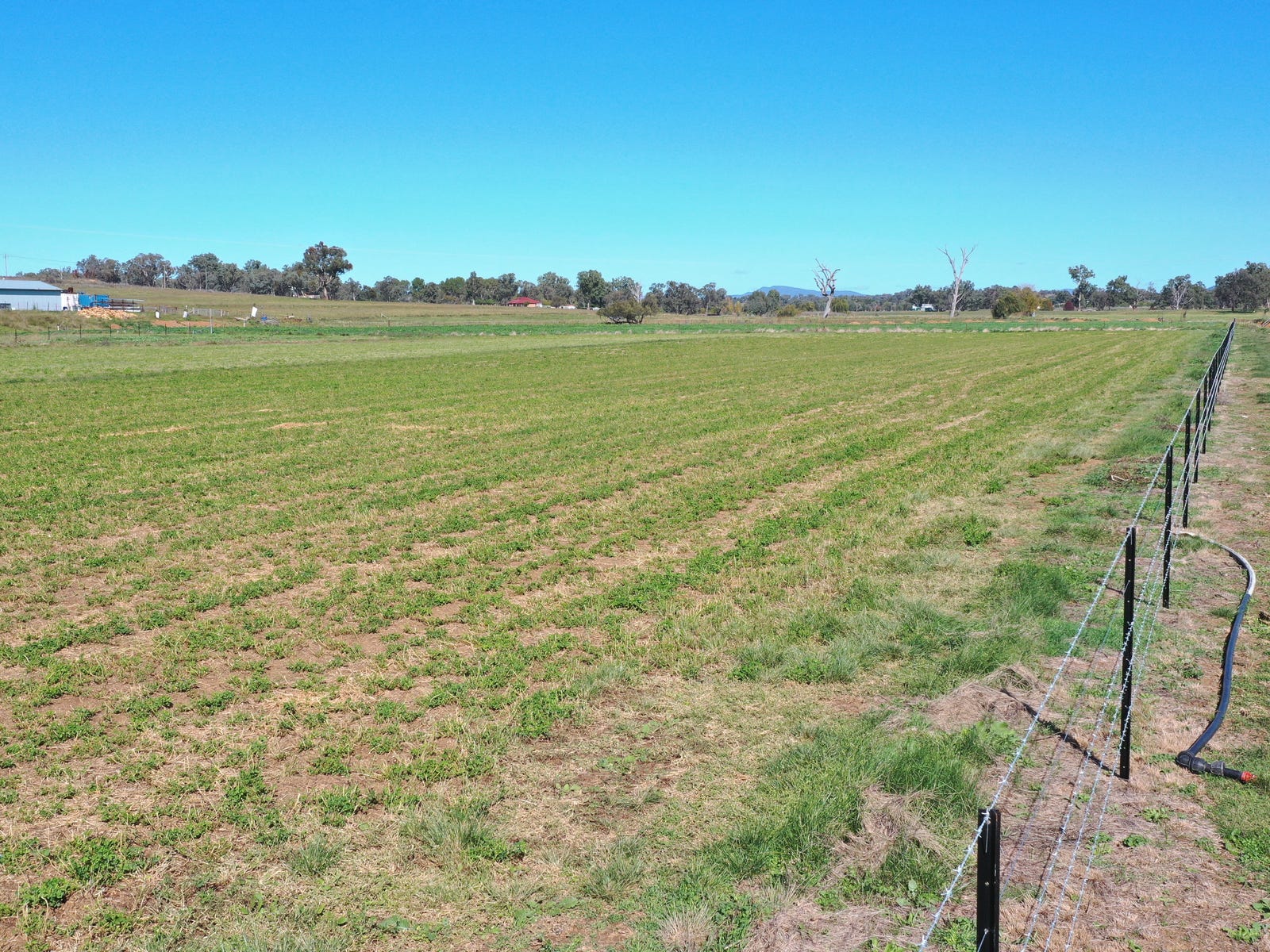 Horse Property For Sale Tamworth NSW 2340 360 Warral Road