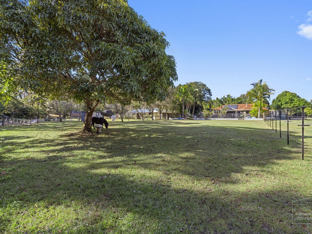 Horse Property For Sale Mooloolah Valley Qld 4553 12 Forsyth Place