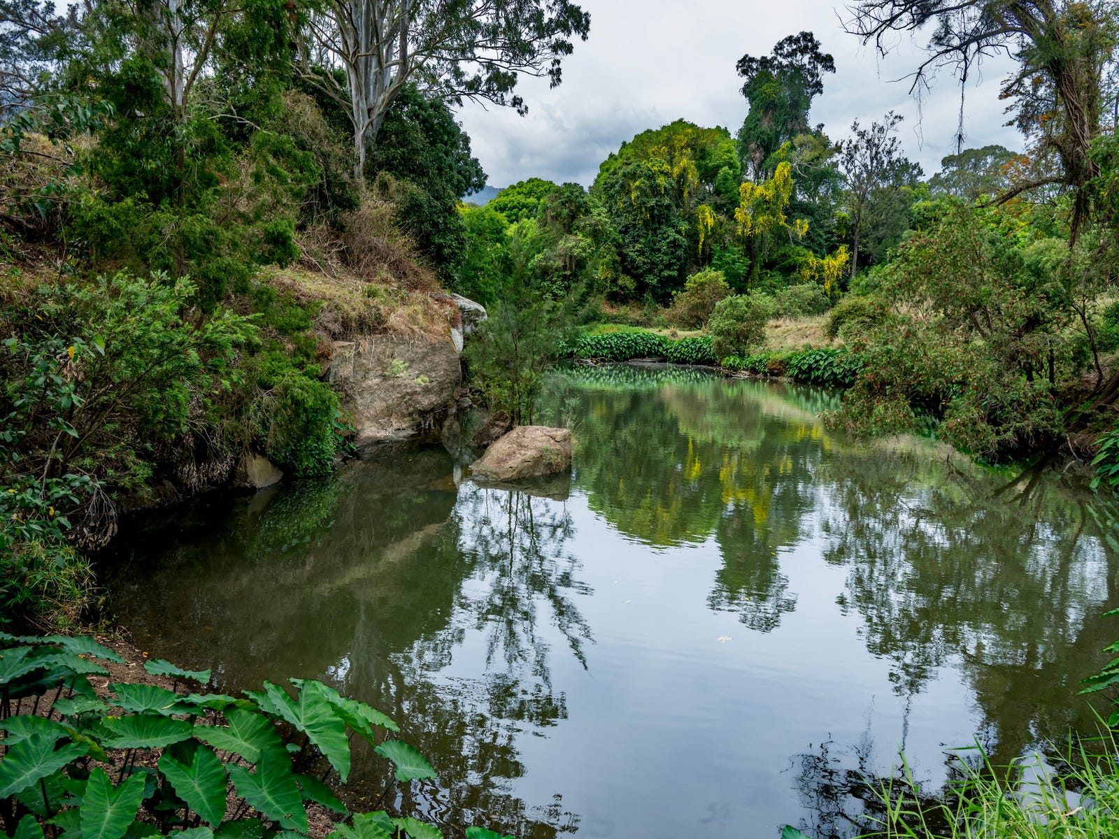 Horse Property For Sale Benobble Qld 4275