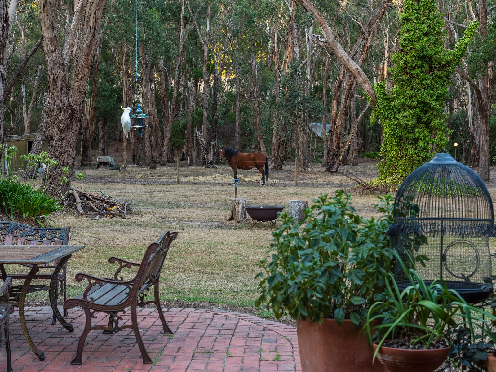 Horse Property For Sale in Macedon, Vic 3440