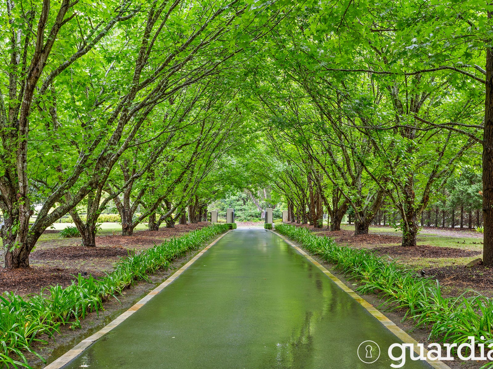 Horse Property For Sale Glenorie NSW 2157 10 Road