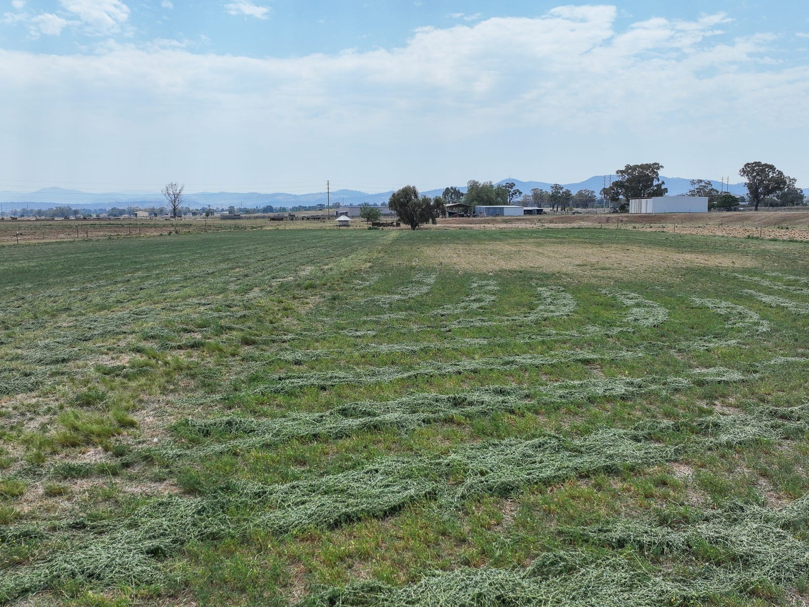 Horse Property For Sale Tamworth NSW 2340 360 Warral Road