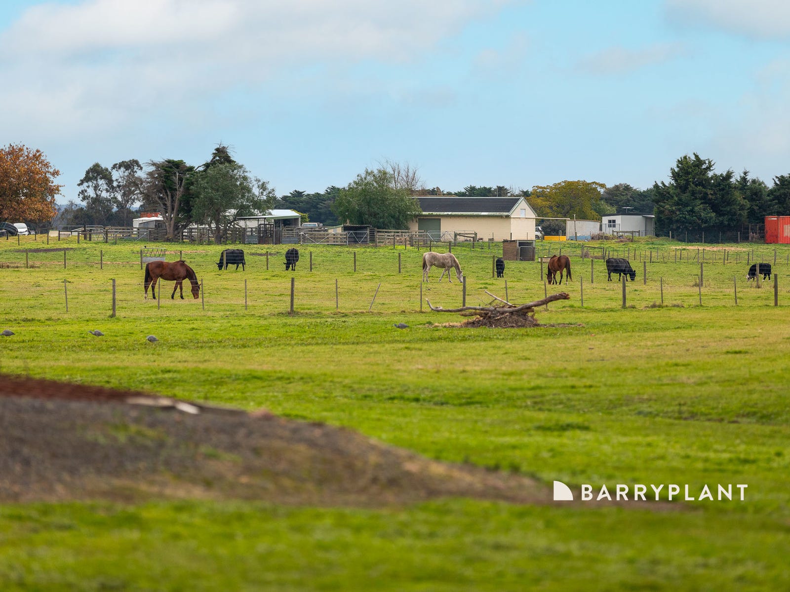 Horse Property For Sale Tooradin Vic 3980 65 Landale Road