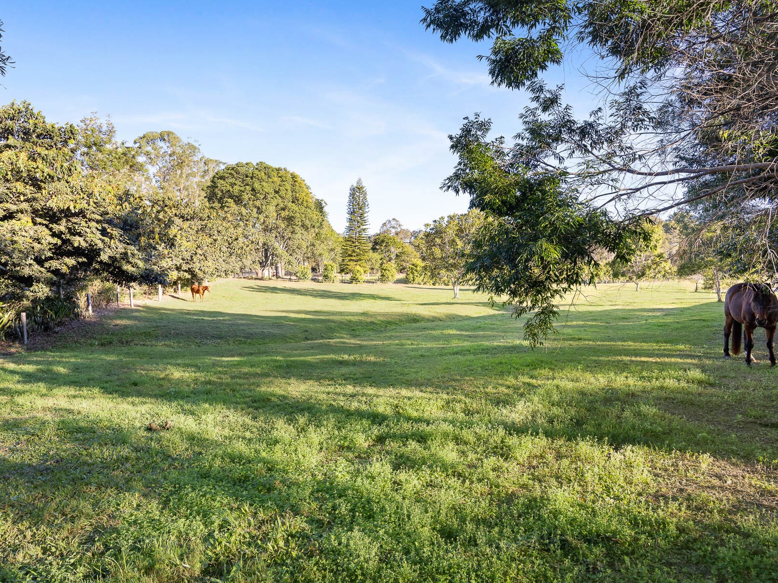 Horse Property For Sale Carters Ridge Qld 4563 56 Jubilee Road