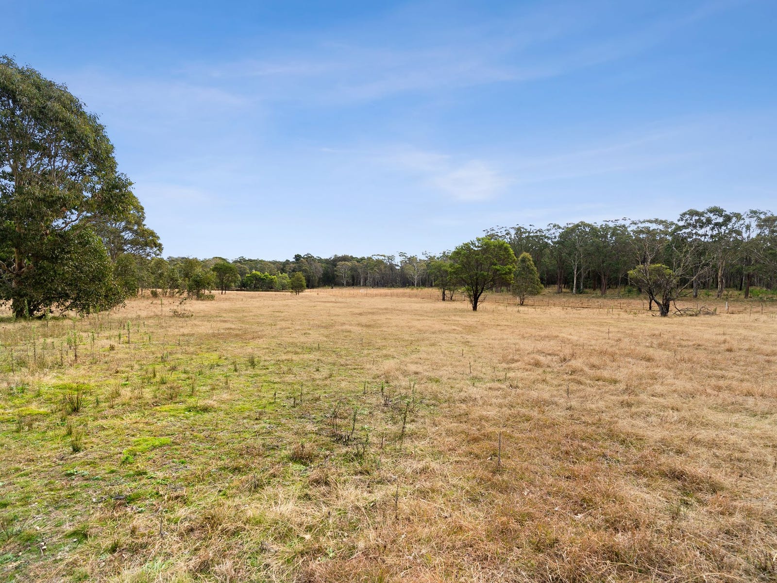 Horse Property For Sale Marulan NSW 2579 | 2643 Towrang Road