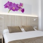 11519_Bahia Principe coral Playa_3