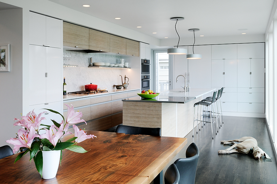 Hillside Drive | Lane Williams Architects