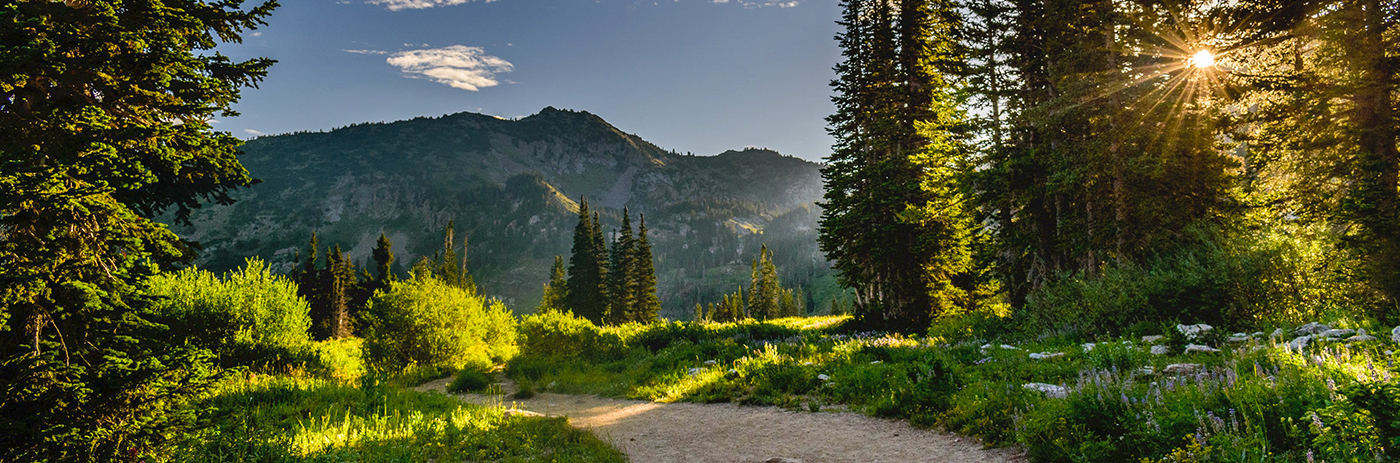 keller rohrback environmental litigation team