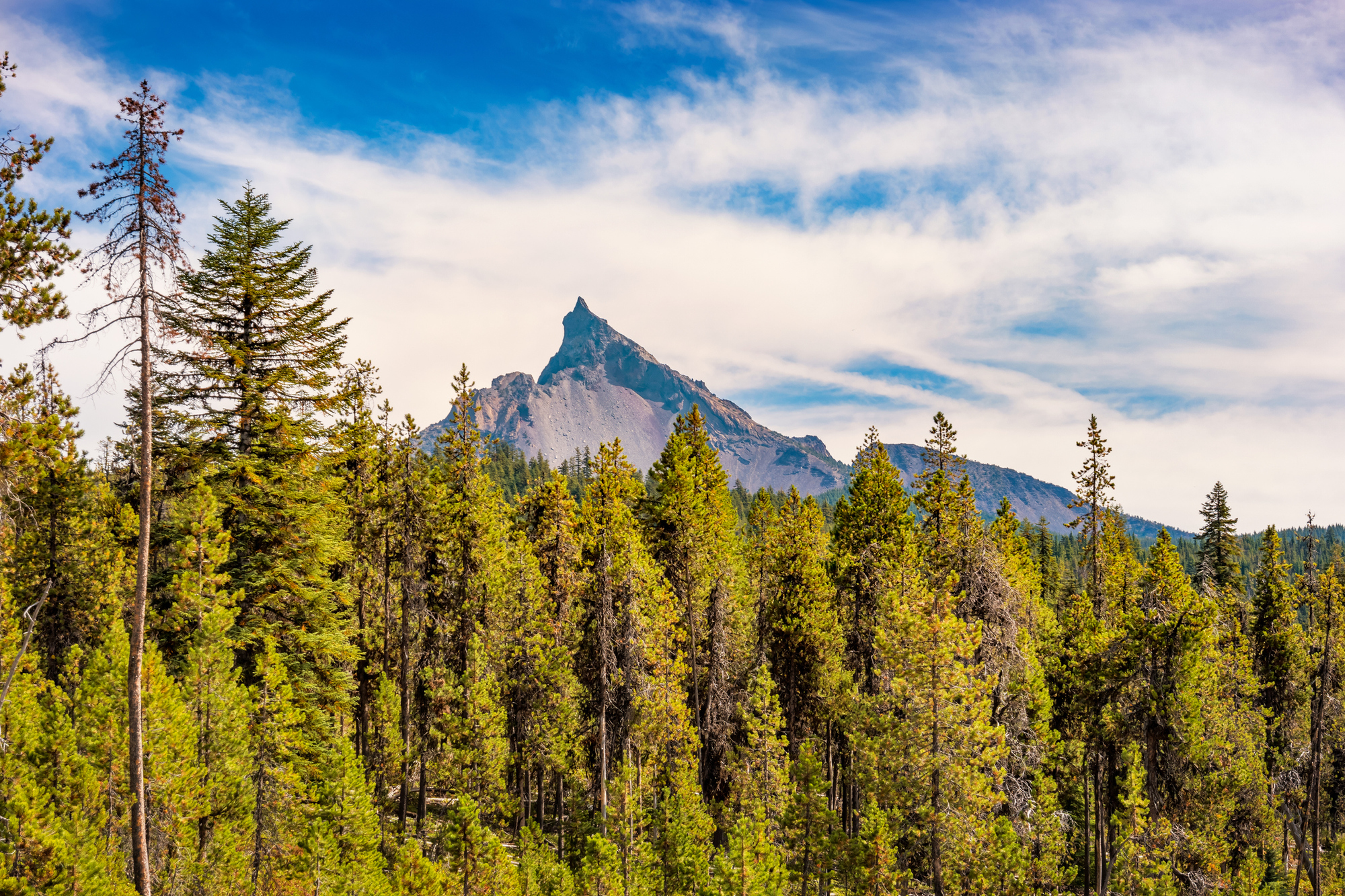 pacificorp wildfire jury verdict oregon