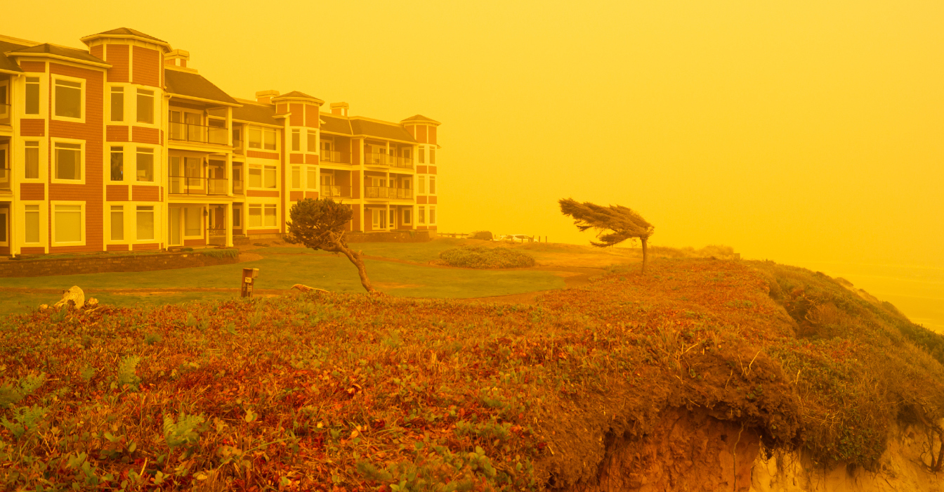 lawdragon environmental feature