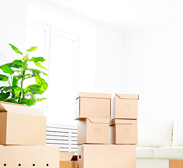 MOVE-IN CLEANING SKIPPACK PA