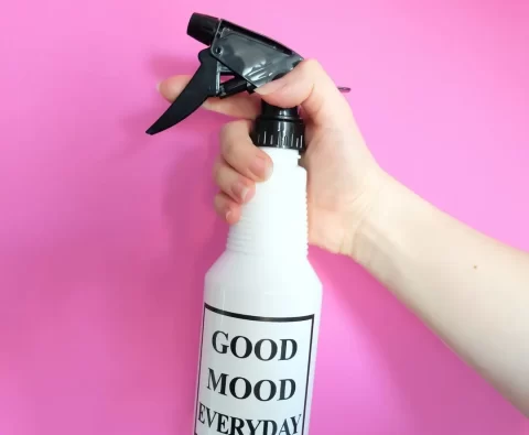 MAID SERVICES MONTGOMERY COUNTY PA