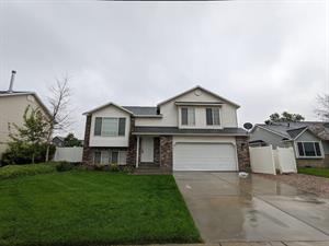 Homes For Rent Pathlight Property Management