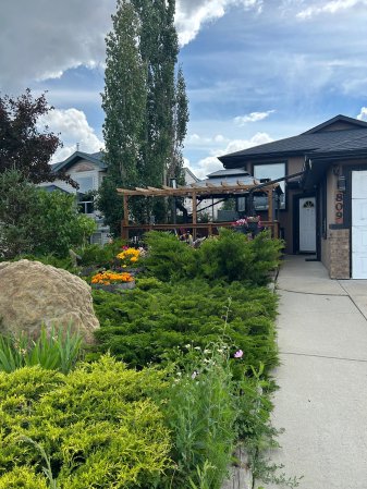 ｶﾙｶﾞﾘｰ · カナダ · 質の高いホームステイで部屋を借りる · HomestayBay