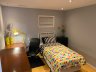 York University/Dolly's Home