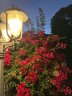 Glendale Homestay