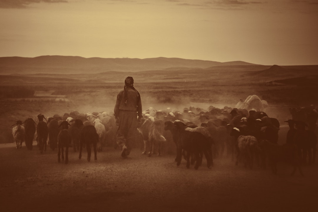 Preachers Must Look Out in a Crisis | Robert Fergusson’s Preaching Tips