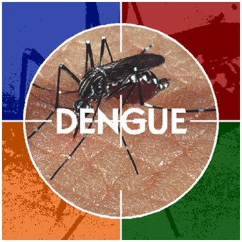 Ppt Dengue Virus No One Is Safe Powerpoint Presentation Free To Download Id 3b55c5 Mtcxm