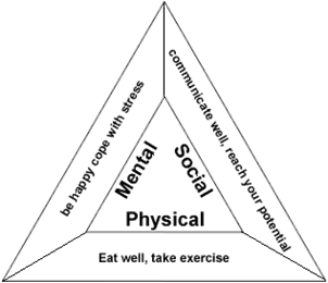 ppt negative effects of imbalanced health triangle shared health triangle