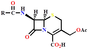 cephalosporins