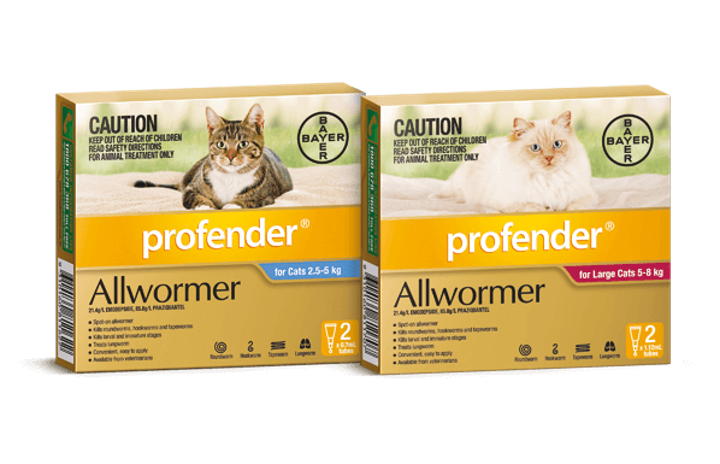 profender allwormer cats