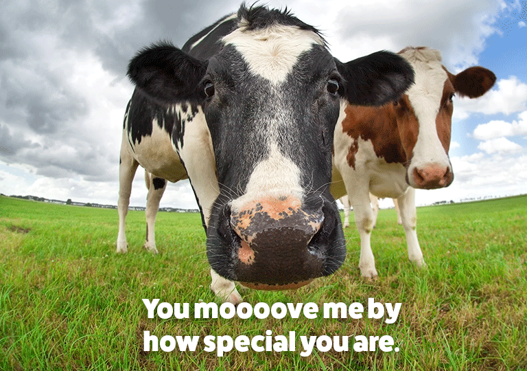 You-mooove-me-beingday-e-card