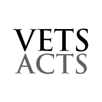 mvactsLogo Icon Plain white