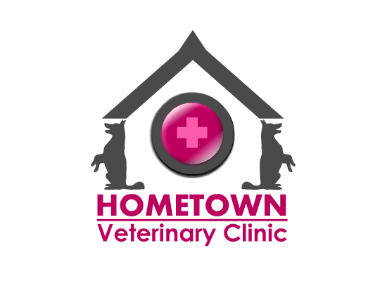 hometown veterinary clinic