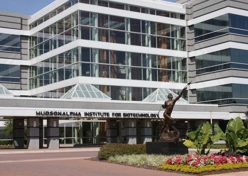 HudsonAlpha geneticist selected to Alabama Rare Disease Advisory Council