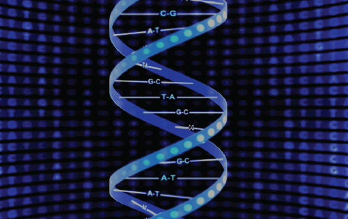 what is dna sequencing hudsonalpha