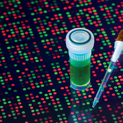 Biotech Basics – HudsonAlpha Institute for Biotechnology