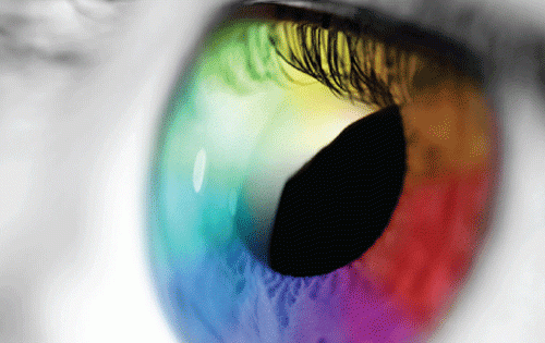 Genetics Of Eye Color HudsonAlpha Institute For Biotechnology genetics-of-eye-color-hudsonalpha-institute-for-biotechnology