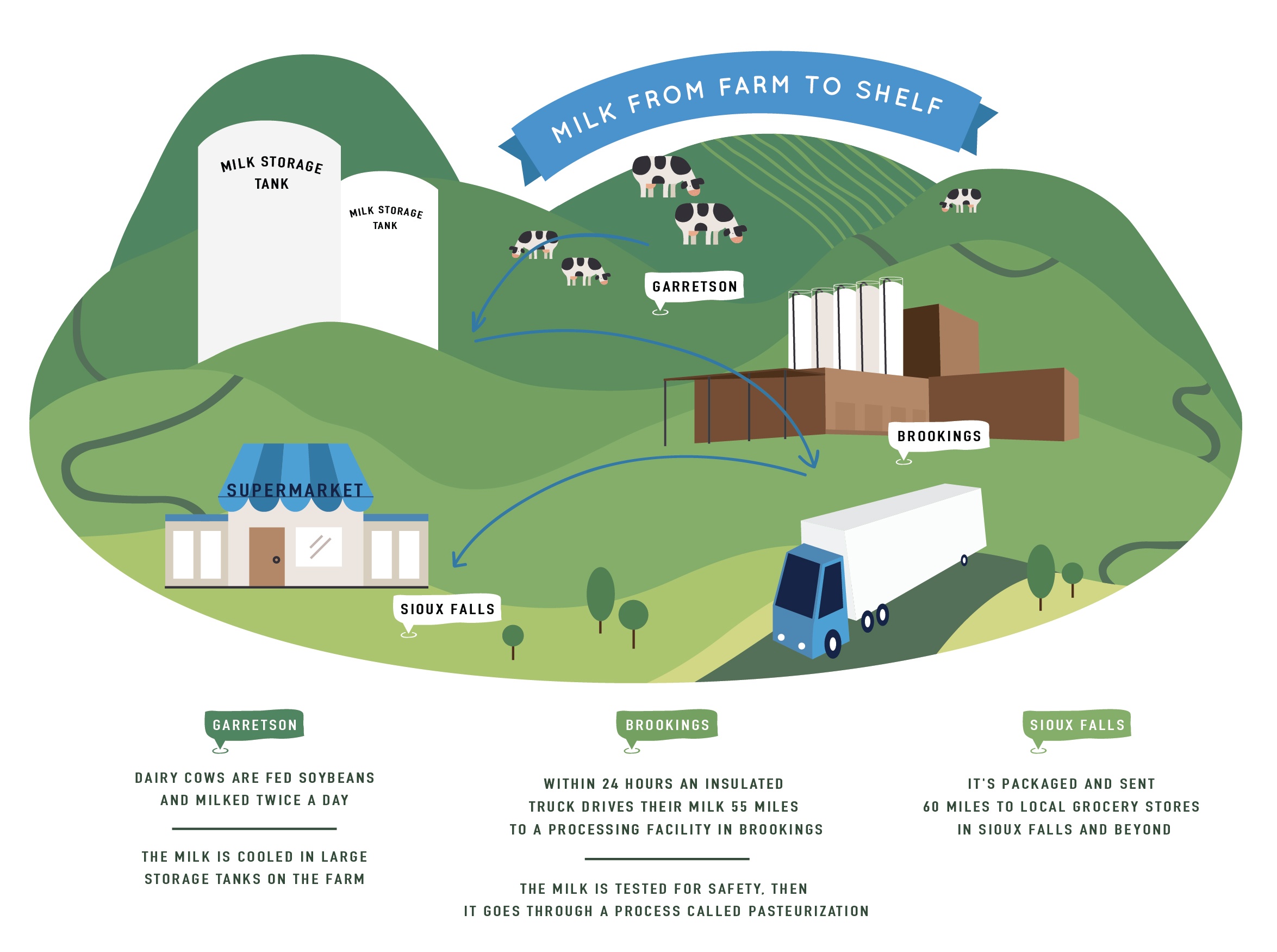 Milk's journey from the dairy farm to the grocery store.