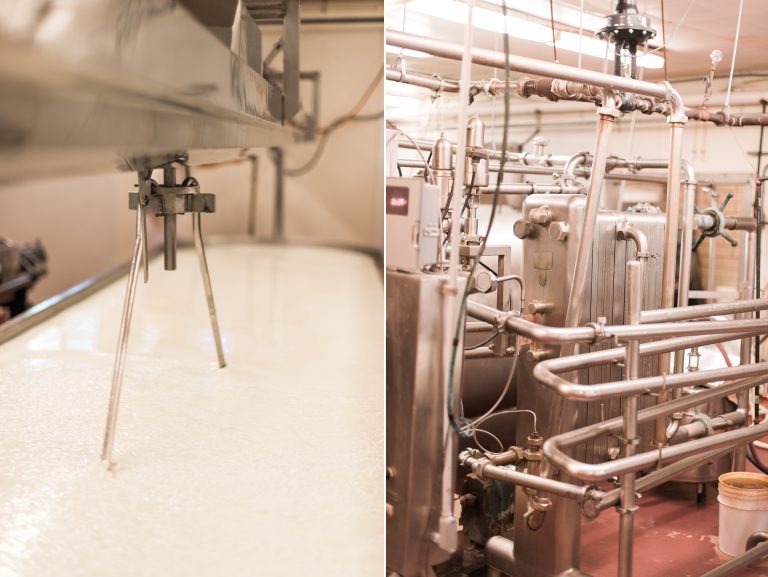 Making Cheese With South Dakota’s Dimock Dairy Hungry for Truth