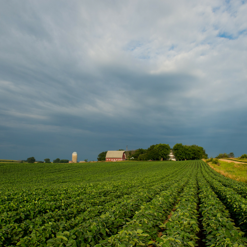 Sustainability Grows Strong on South Dakota Farms and Ranches Hungry