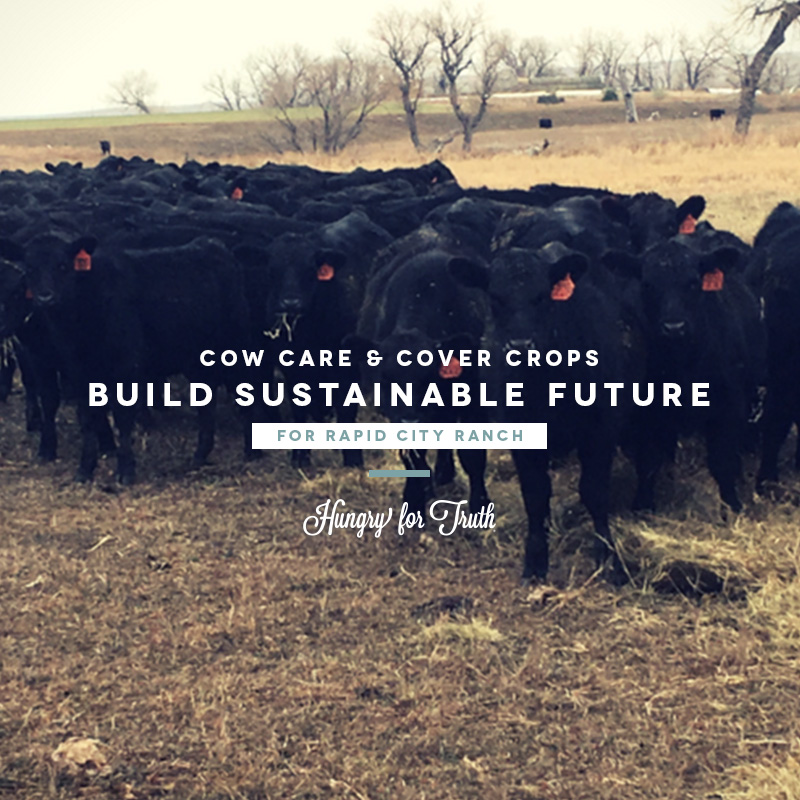 hungry for truth south dakota agriculture animal care freeland ranch south dakota agriculture farming practices animal welfare sustainability