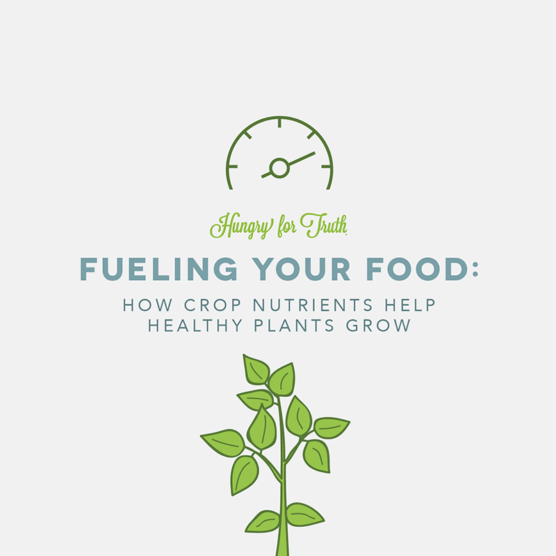 Hungry for Truth Crop Nutrients + Farm Sustainability