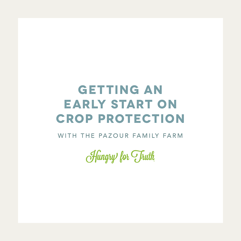 Hungry for Truth Pesticide application