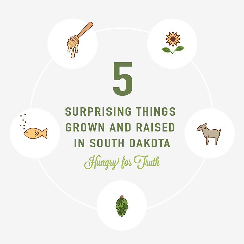 Five Surprising Things Grown and Raised in South Dakota Hungry for Truth